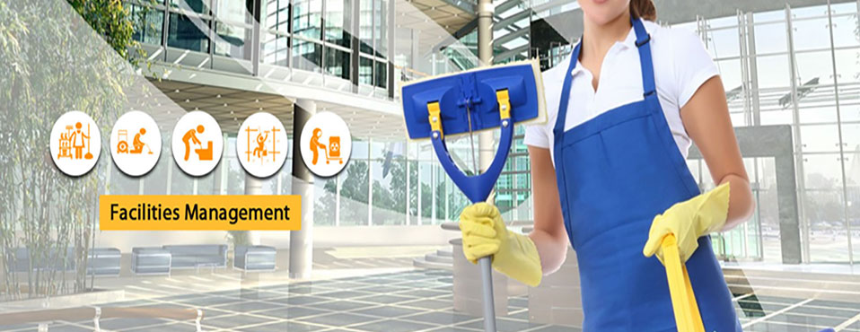 Cleaning and Maintenance